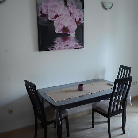 Apartments Nika 扎达尔 外观 照片